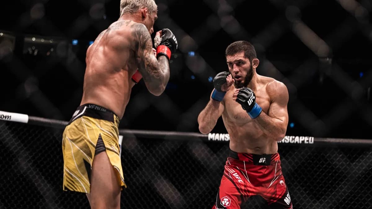 2026 : L'année des 4 ceintures pour les français à l'UFC ?