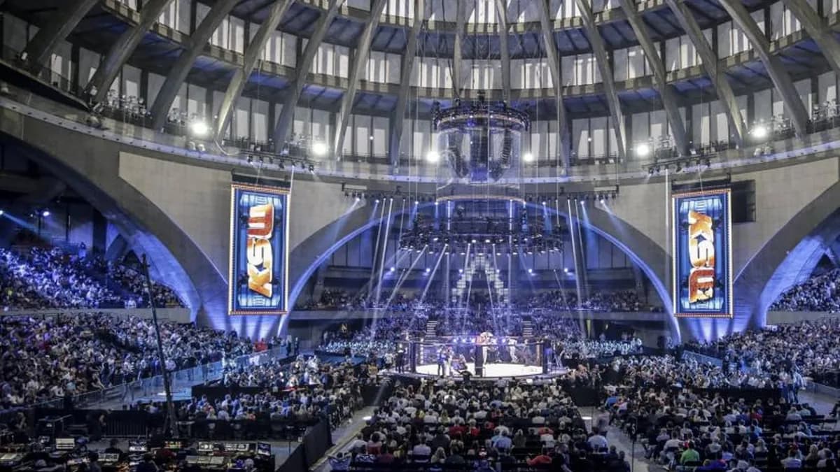 KSW : La plus grosse paye de l'histoire du MMA en Pologne