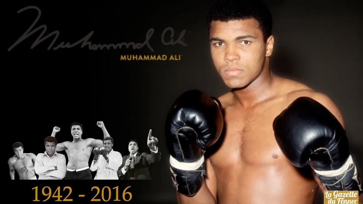 Boxe : La Californie Relance le Débat avec le Muhammad Ali Revival Act – Entre Héritage et Polémique