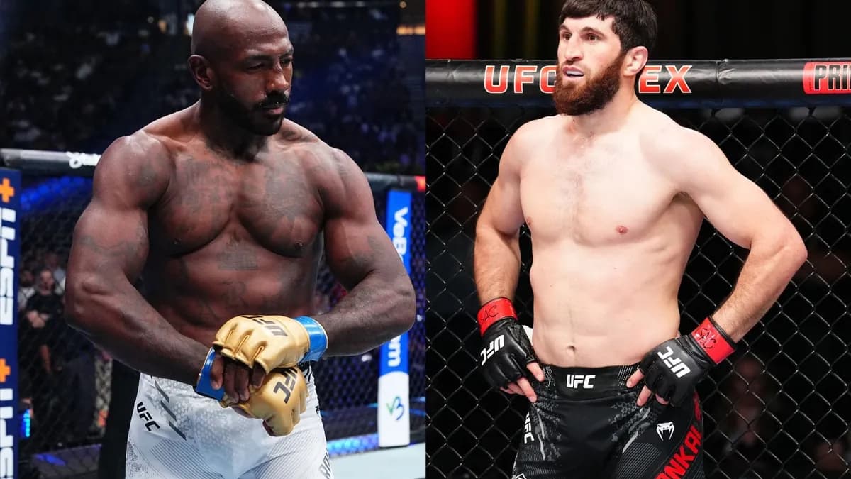 Ankalaev relance sa carrière avec un défi audacieux : un combat centré sur le striking contre Rountree Jr