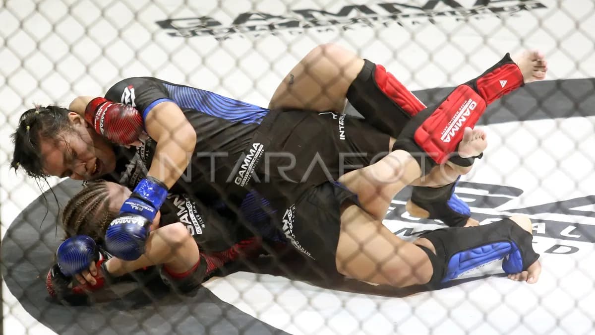 Après le KSW 119 à Radom, les positions de Masaev et Gallon divisent. Analyse des classements et des enjeux pour le titre.
