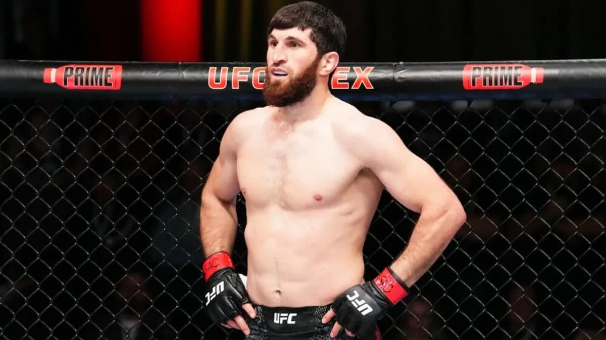 Dernier duel de la trilogie : Ankalaev affronte Poatan pour un titre en jeu Dernier duel de la trilogie : Ankalaev affronte Poatan pour un titre en jeu