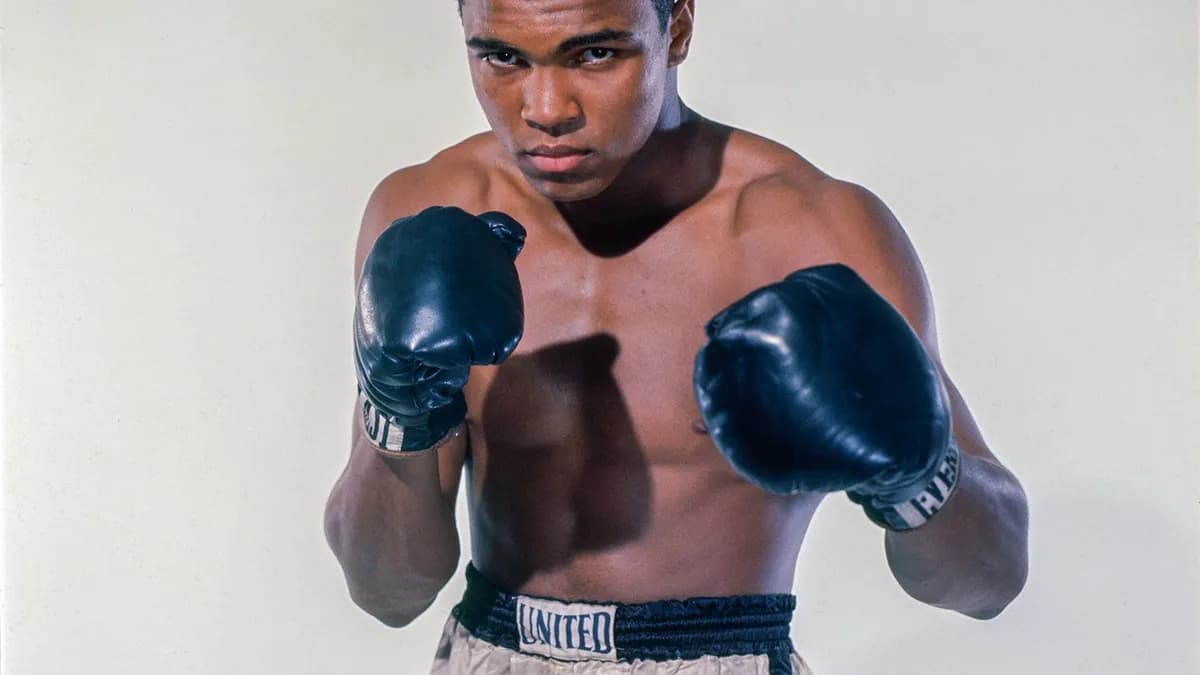 Despaigne écrase le ring : 8 défis remportés, la ceinture en poche Despaigne écrase le ring : 8 défis remportés, la ceinture en poche