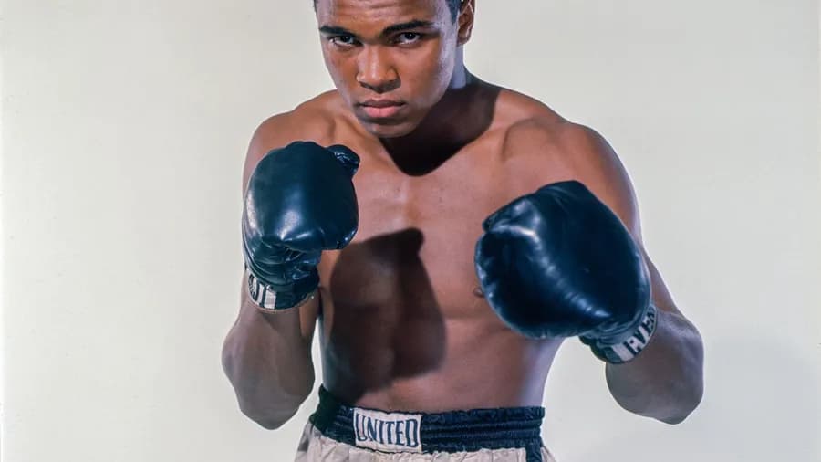 Despaigne écrase le ring : 8 défis remportés, la ceinture en poche Despaigne écrase le ring : 8 défis remportés, la ceinture en poche