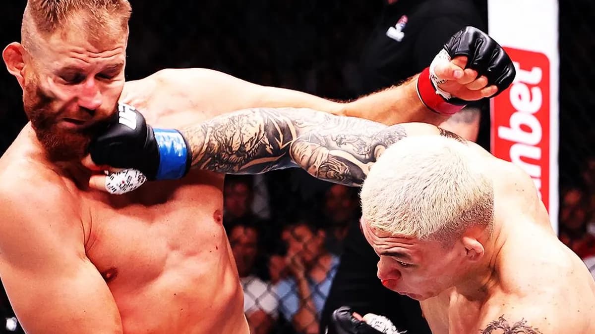 Stirling écrase Blachowicz en moins de trois minutes à Belgrade Stirling écrase Blachowicz en moins de trois minutes à Belgrade