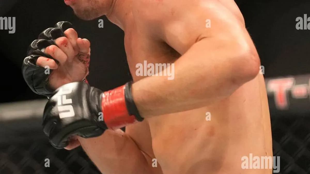 Explosive Lightweight Duel: Carlos Diego Ferreira and Billy Quarantillo Shine at UFC Vegas 120 Explosive Lightweight Duel: Carlos Diego Ferreira and Billy Quarantillo Shine at UFC Vegas 120