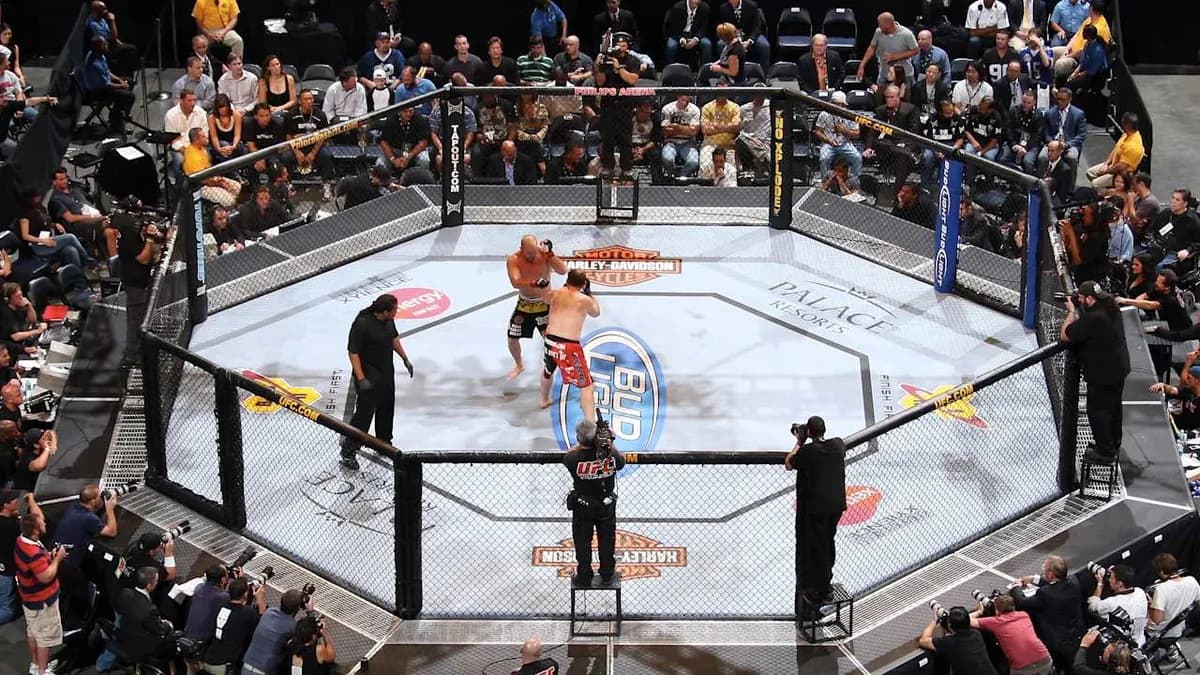 MMA : 4 champions UFC visent 2026 pour prolonger leur règne – Les combats clés qui vont marquer l’histoire