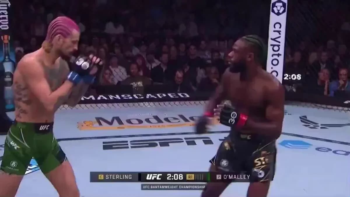 Explosive debate over oblique knee kicks: UFC 331 and the CSAC at the forefront Explosive debate over oblique knee kicks: UFC 331 and the CSAC at the forefront