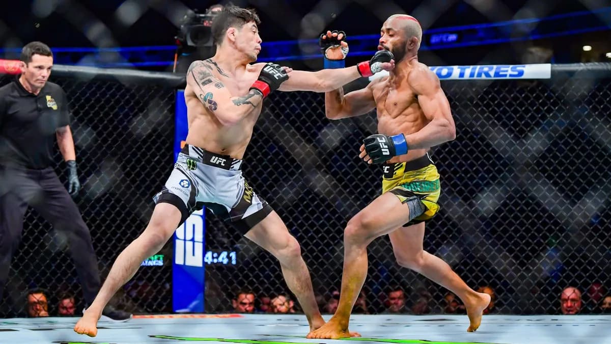 UFC 332: Two Flyweight Title Fights and a Must-See Bantamweight Clash UFC 332: Two Flyweight Title Fights and a Must-See Bantamweight Clash