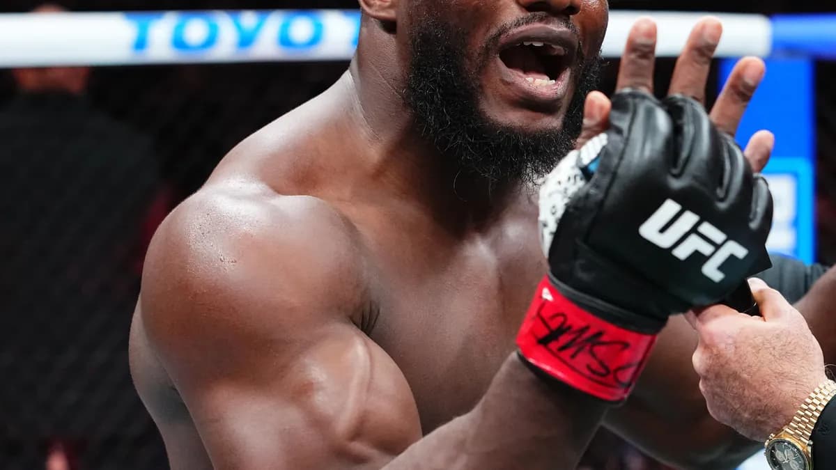 Wint et Sharaf s’affrontent à New York : duel de titans au UFC 334 Wint et Sharaf s’affrontent à New York : duel de titans au UFC 334