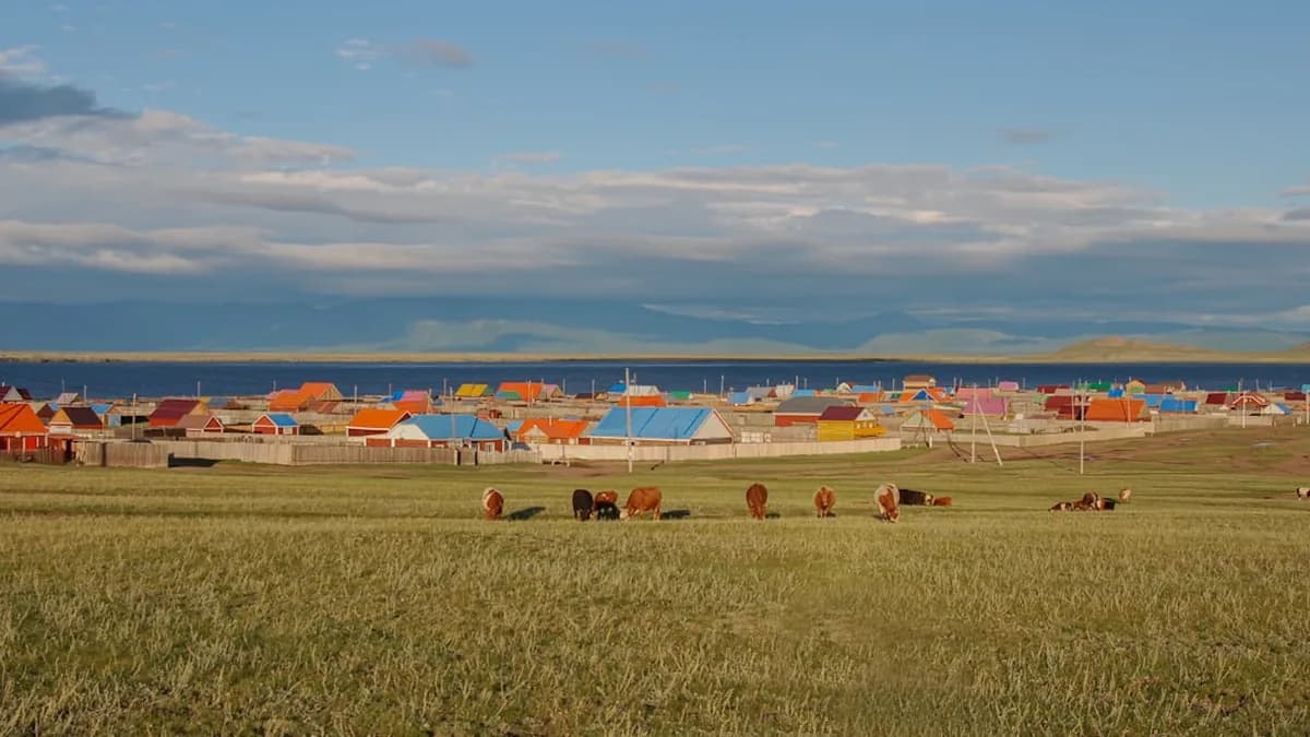 Triomphe de Baatarkhuu : Le Président de Mongolie célèbre son titre mondial