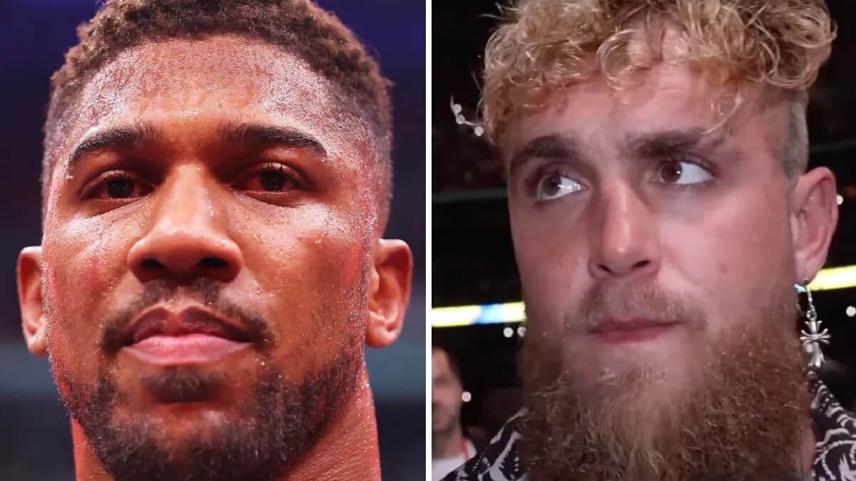 Joshua vs Paul : Les risques encourus par Jake Paul