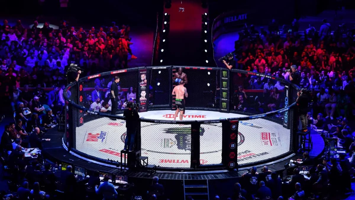 MMA Pologne :