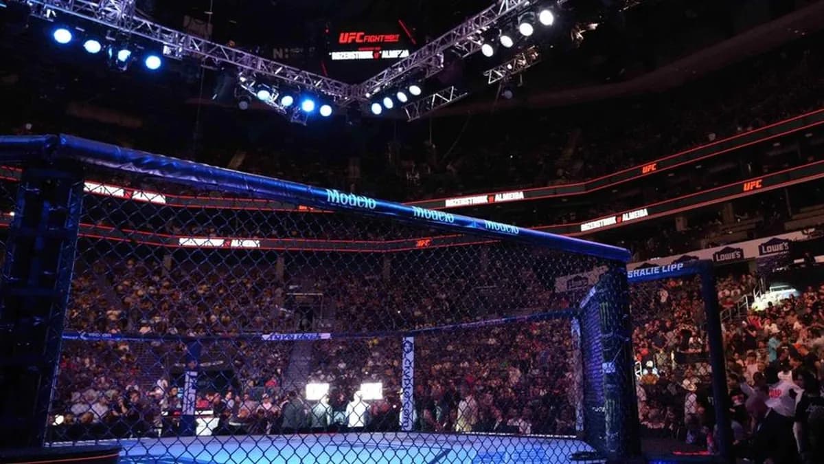 Fighters déjantés : des KO improbables et des soumissions spectaculaires