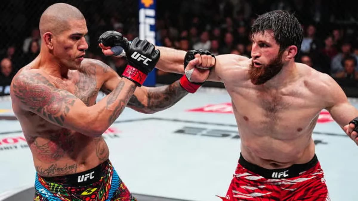 Magomed Ankalaev vs Alex Pereira : "Je ne le respecte plus" – La guerre psychologique avant l'UFC 320 Magomed Ankalaev vs Alex Pereira : "Je ne le respecte plus" – La guerre psychologique avant l'UFC 320