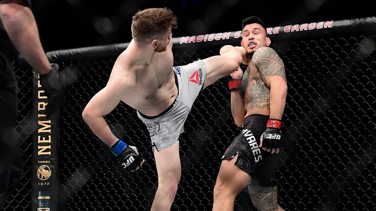 Edmen Shahbazyan vs Jun Yong Park : Un Affrontement Explosif à l'UFC Vegas 115