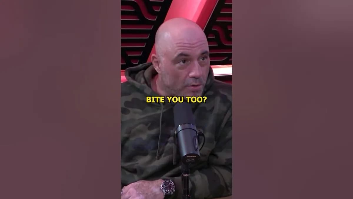 Joe Rogan : Pourquoi j'ai arrêté les arts martiaux pour me consacrer à l'humour