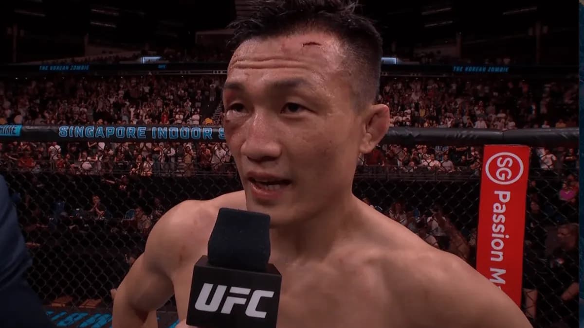 L'évolution du regard sur le MMA : du sang à l'analyse