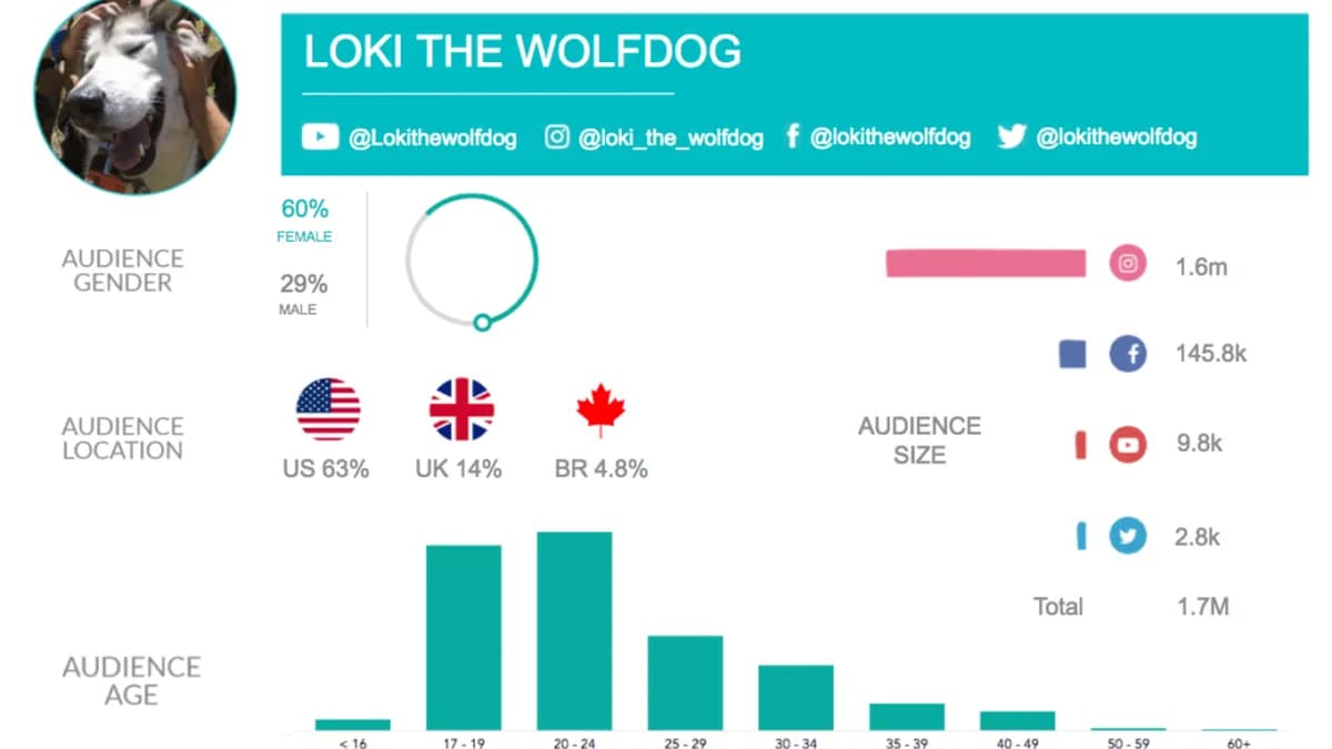 LokDog vs Sterling : La rivalité s'intensifie sur les réseaux sociaux