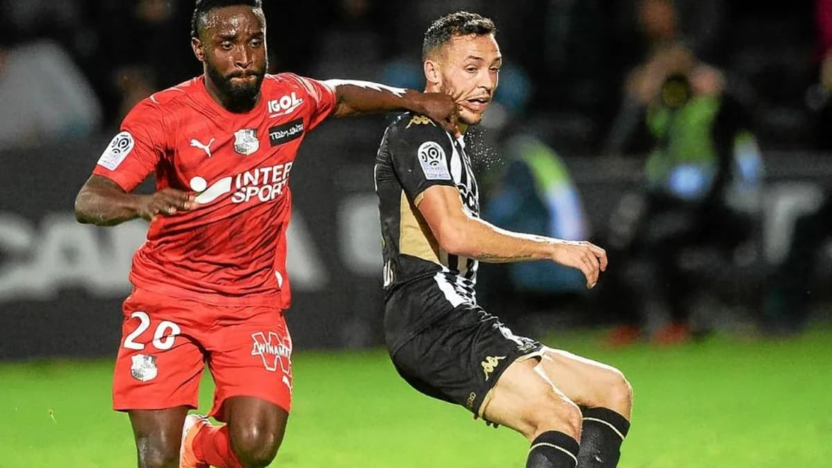 Prochazka: Pereira, on revient, c'est sûr !