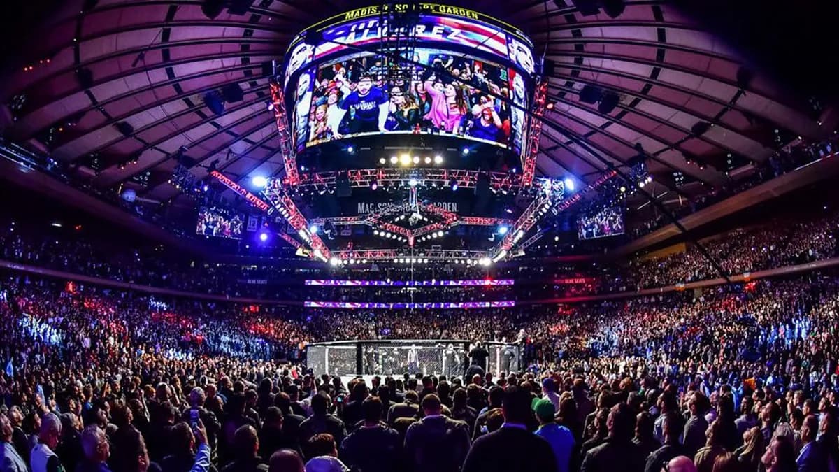 Dana White's Contender Series Saison 9, Semaine 9 : Un combat légendaire et six nouveaux contrats UFC Dana White's Contender Series Saison 9, Semaine 9 : Un combat légendaire et six nouveaux contrats UFC