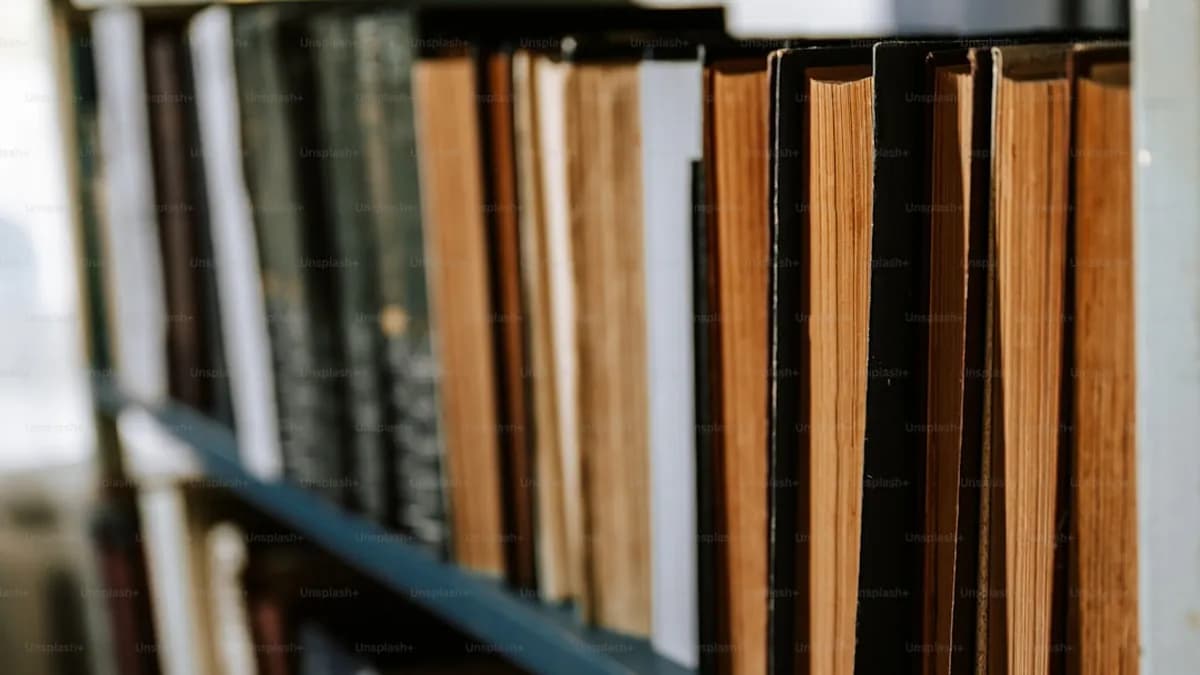 Saimon Oliveira : 144 livres sur la balance, un record de surpoids qui fait trembler l'UFC Saimon Oliveira : 144 livres sur la balance, un record de surpoids qui fait trembler l'UFC