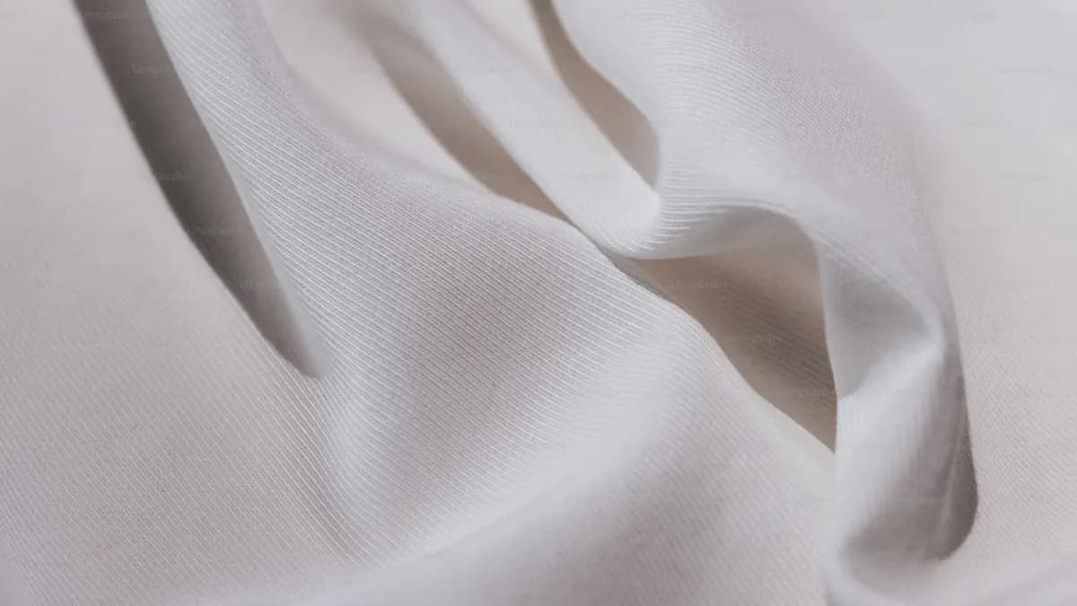 Thiago Tavares : De l’Octogone à la Blouse Blanche, une Reconversion Historique dans l’UFC