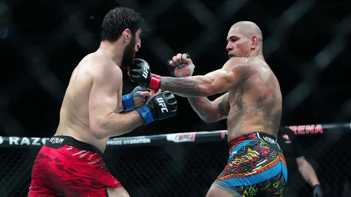 Alex Pereira vs Ankalaev : "Ses blessures ? Une plaisanterie face à ce que j’ai enduré" – Le champion révèle ses secrets médicaux