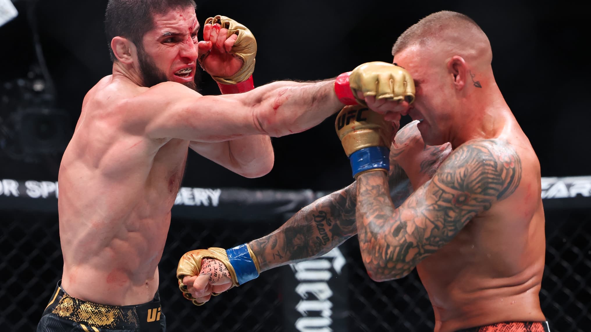 L'UFC cache des talents sous son tapis : McKee vs Shaidullaev, le choc qui pourrait tout changer L'UFC cache des talents sous son tapis : McKee vs Shaidullaev, le choc qui pourrait tout changer