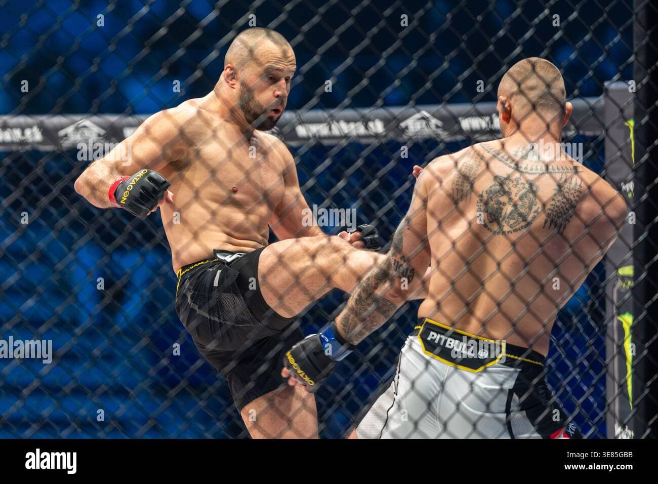 Tomasz Narkun affronte Skvor en Octogone : retour explosif et duel de titans Tomasz Narkun affronte Skvor en Octogone : retour explosif et duel de titans
